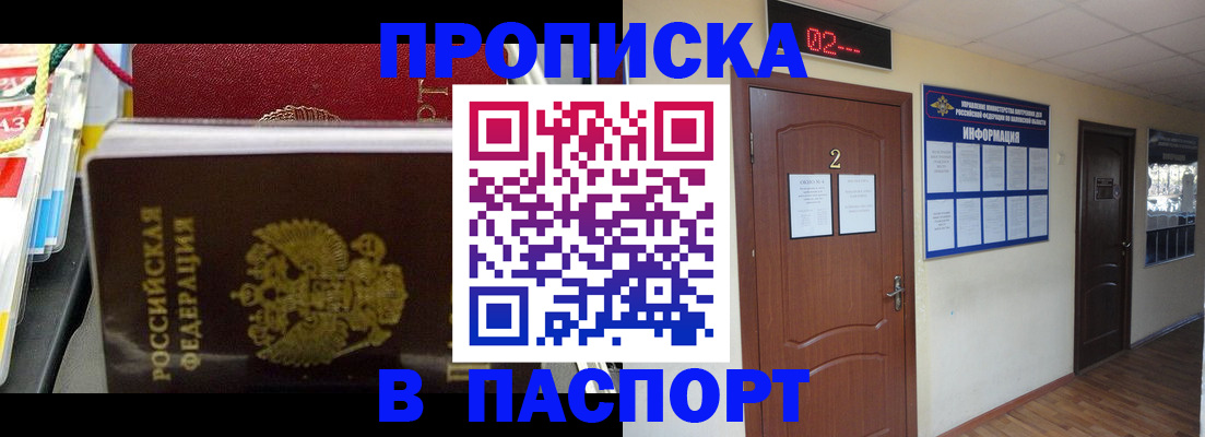 прописка гарантия в Заинске